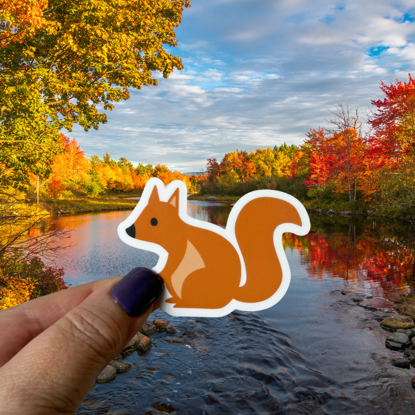 Squirrel Waterproof Vinyl Sticker