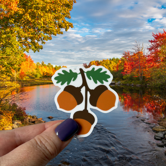 Acorns Waterproof Vinyl Sticker