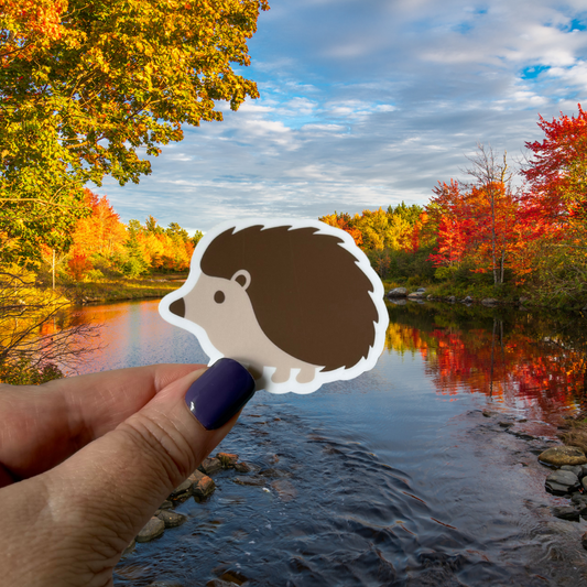 Hedgehog Waterproof Vinyl Sticker